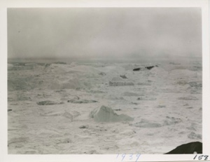Image: Ice in Jakobshavn, Fiord